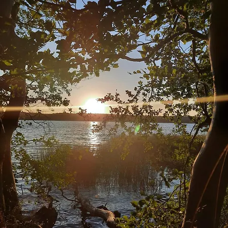 Daire Waldresidenz *