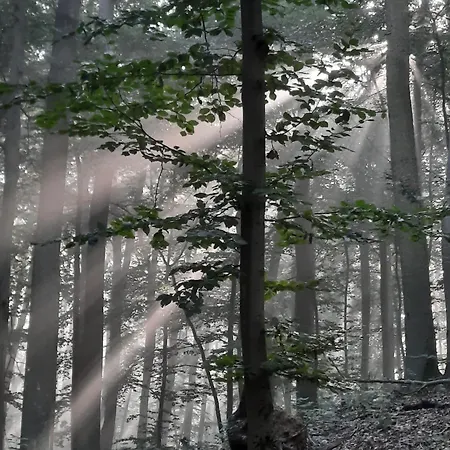 Daire Waldresidenz *